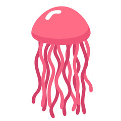 Jellyfish flat illustration on white