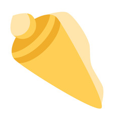 Shell flat illustration on white