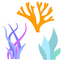 Coral and weed flat illustration on white