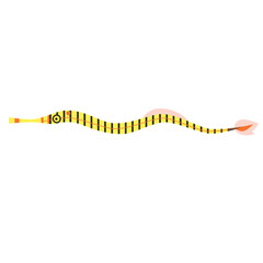 Yellow eel flat illustration on white