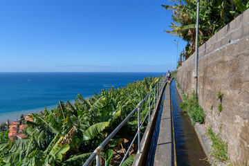 Madeira Island, Funchal city levada
