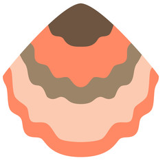 Shell flat illustration on white