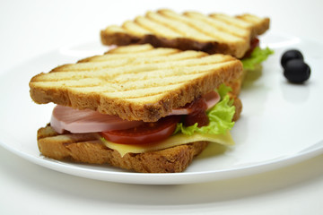 Sandwich on a white background in a plate