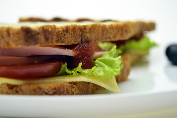 Sandwich on a white background in a plate