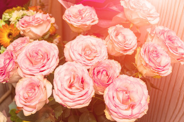 Bouquet of beautiful delicate pink roses in the sunlight