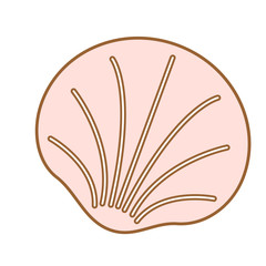 Shell flat illustration on white