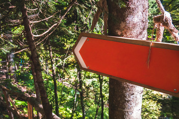 Big red blank arrow hanging on tree in dense green forest showing the way. Empty copy space for your text