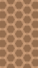 Ornate geometric pattern and two-tone abstract background
