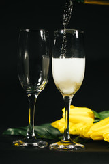 Elegant glasses of yellow champagne and yellow tulips on black background