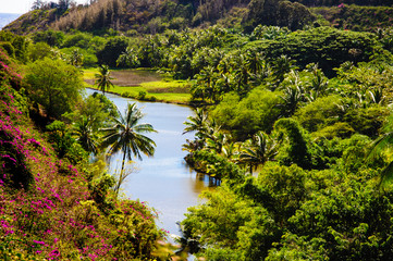 Tropical Photos Beach vistas