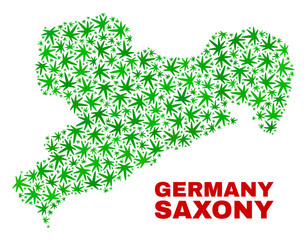 Vector marijuana Saxony Land map mosaic. Template with green weed leaves for weed legalize campaign. Vector Saxony Land map is constructed with marijuana leaves.