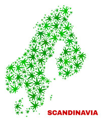 Vector cannabis Scandinavia map mosaic. Template with green weed leaves for weed legalize campaign. Vector Scandinavia map is organized with herbal leaves.