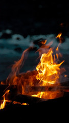 Flames burning wood in the night on blue