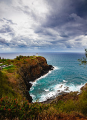 Beautiful Tropical photos