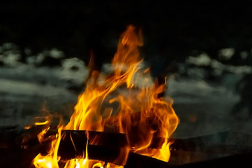 Obraz premium Flames burning wood in the night on green