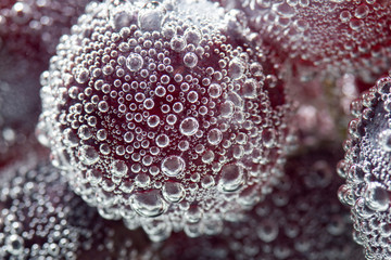 water drops on red surface