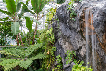 Waterfall on the Rocks