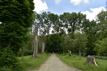 Chemin le long des souches et des troncs sculptés vers le dois du domaine provincial de Vrijbroekpark à Malines