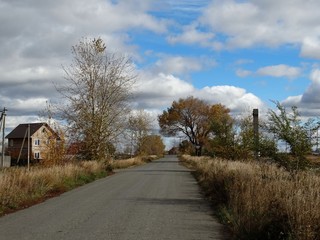 Fototapeta premium Весна
