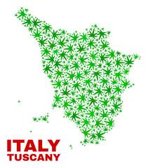 Vector cannabis Tuscany region map mosaic. Concept with green weed leaves for cannabis legalize campaign. Vector Tuscany region map is designed with herbal leaves.