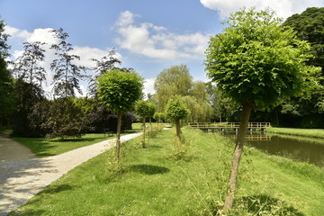 Fototapeta premium Les petits arbres plus au moins en rangée entre le chenal et le chemin au domaine provincial de Vrijbroekpark à Malines