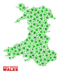 Vector cannabis Wales map collage. Concept with green weed leaves for weed legalize campaign. Vector Wales map is designed with herbal leaves.