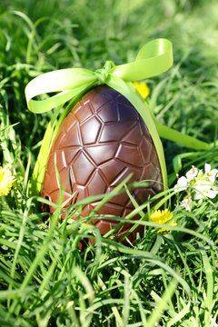 green grass and chocolate egg- easter