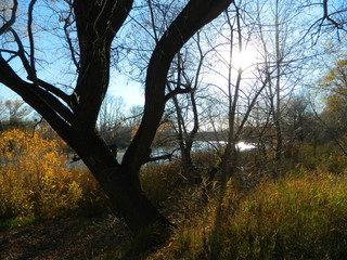 Obraz premium Природа