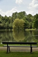 Fototapeta na wymiar Banc en face de l'arbre au feuillage clair miroitant dans l'étang principal du domaine provincial de Vrijbroekpark à Malines