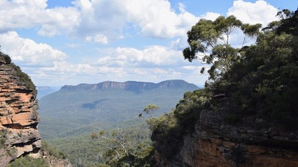 Fototapeta na wymiar Blue mountains near Katoomba Australia