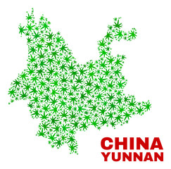 Vector marijuana Yunnan Province map collage. Concept with green weed leaves for marijuana legalize campaign. Vector Yunnan Province map is designed with marijuana leaves.