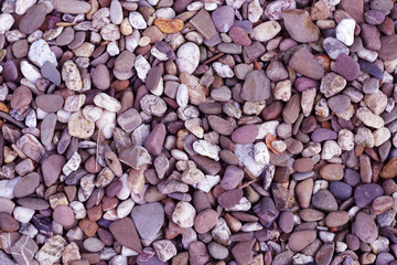  stones on the beach makro 