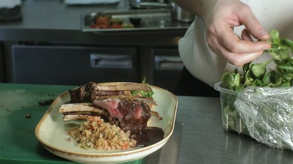Chef decorates tasty dish, restaurant business concept