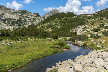 Naklejka na ściany i meble Summer landscape of Muratov peak and mountain river, Pirin Mountain, Bulgaria