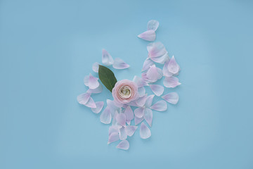 heart of light pink petals on a light blue textural background with a flower in the center