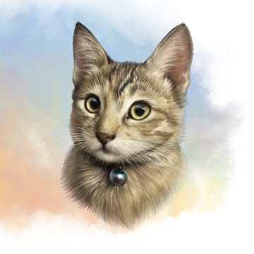 Cute kitty on watercolor background. Realistic portrait of a cat with big eyes. Drawing of a pet. Animal art collection. Good for print T shirt, pillow, banner. Hand painted pets illustration.