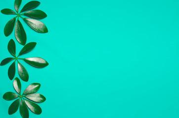 Three green leaves in the shape of fingers are on colored background