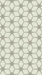 Ornate geometric pattern and two-tone abstract background