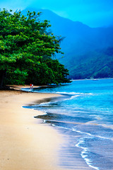 Beautiful Tropical beach with ocean
