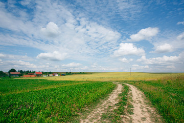 Landscape with the field, the road and sky in summer