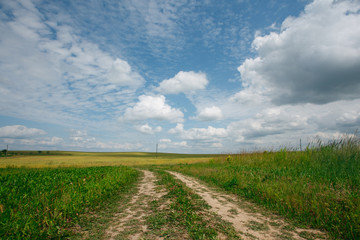 Landscape with the field, the road and sky in summer