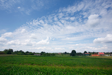 Fototapeta premium Landscape with the village and nature in summer