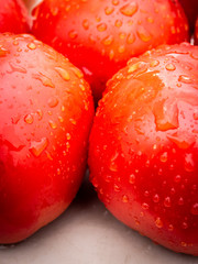 close-up of wet tomatoes