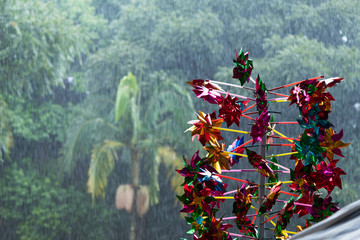Colorful Pinwheel during a Heavy Rain with Trees Background - Sao Paulo, Brazil