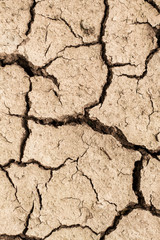dry cracked earth