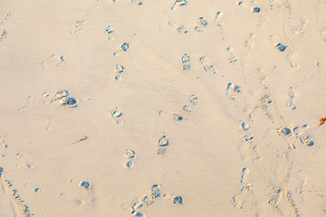 footsteps at the beach as vacation symbol