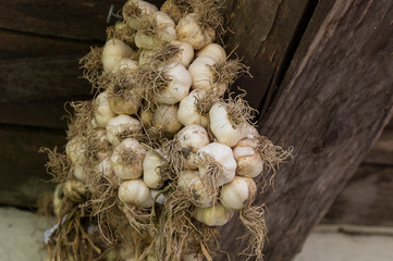 bundle of garlic hangs on the beam