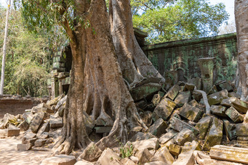 Fototapeta na wymiar Ta Prohm temple area near Angkor Wat in Cambodia
