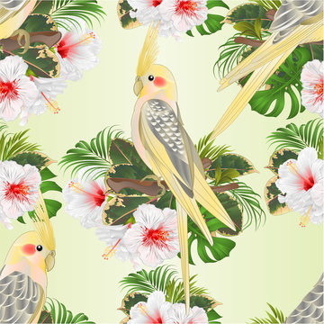 Seamless texture Yellow cockatiels cute tropical birds funny  parrots and white hibiscus watercolor style on a green background vintage vector illustration editable hand draw