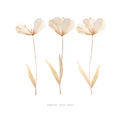 Foto op Canvas Pressed and dried tulips flower on a white background. For use in scrapbooking © Mandrixta